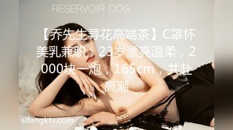 【乔先生寻花高端茶】C罩杯美乳兼职，23岁漂亮温柔，2000块一炮，165cm，共赴高潮