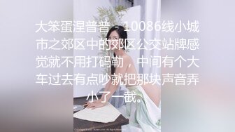 大笨蛋涅普普 - 10086线小城市之郊区中的郊区公交站牌感觉就不用打码勒，中间有个大车过去有点吵就把那块声音弄小了一截。