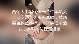 两个大老黑伺候一个中年熟女，口交两个大鸡巴真骚，被两黑鬼轮草抽插，干了骚逼干菊花，各种体位蹂躏爆草