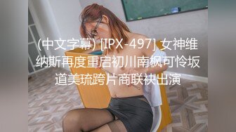 (中文字幕) [IPX-497] 女神维纳斯再度重启初川南枫可怜坂道美琉跨片商联袂出演