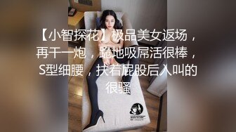 【小智探花】极品美女返场，再干一炮，跪地吸屌活很棒，S型细腰，扶着屁股后入叫的很骚