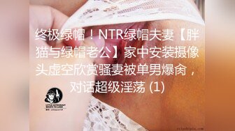 终极绿帽！NTR绿帽夫妻【胖猫与绿帽老公】家中安装摄像头虚空欣赏骚妻被单男爆肏，对话超级淫荡 (1)