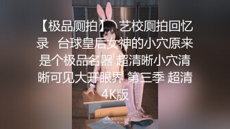 【极品厕拍】❤艺校厕拍回忆录❤台球皇后女神的小穴原来是个极品名器 超清晰小穴清晰可见大开眼界 第三季 超清4K版