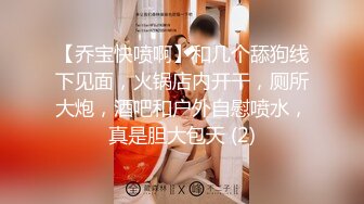 【乔宝快喷啊】和几个舔狗线下见面，火锅店内开干，厕所大炮，酒吧和户外自慰喷水，真是胆大包天 (2)