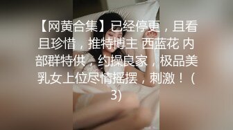 【网黄合集】已经停更，且看且珍惜，推特博主 西蓝花 内部群特供，约操良家，极品美乳女上位尽情摇摆，刺激！ (3)