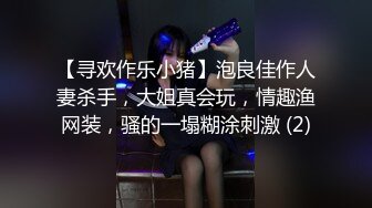 【寻欢作乐小猪】泡良佳作人妻杀手，大姐真会玩，情趣渔网装，骚的一塌糊涂刺激 (2)