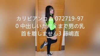 カリビアンコム 072719-970 中出しいただくまで男の乳首を離しません3 藤嶋直