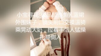 小宝寻花_极品颜值美乳蓝裙外围妹子，镜头前口交摸逼骑乘晃动大奶，拉着手后人猛操抬腿侧入