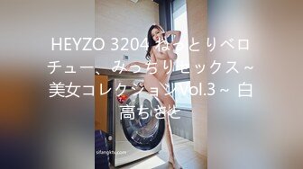 HEYZO 3204 ねっとりベロチュー、みっちりセックス～美女コレクションVol.3～ 白高ちさと