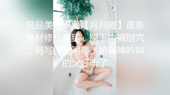 极品美女下海【月月嗷】苗条身材修长美腿，脱下内裤掰穴，特写揉搓阴蒂，娇喘呻吟叫的太好听了