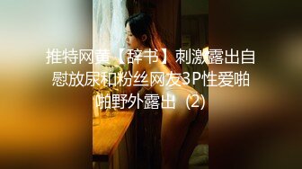 推特网黄【辞书】刺激露出自慰放尿和粉丝网友3P性爱啪啪野外露出  (2)