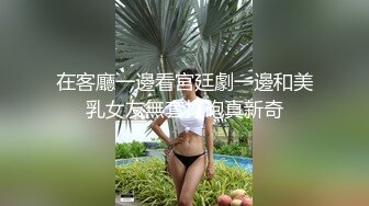 在客廳一邊看宮廷劇一邊和美乳女友無套打砲真新奇