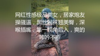 网红性感极品美女，居家炮友操骚逼，黑丝网袜翘美臀，深喉插嘴，第一视角后入，爽的呻吟不断