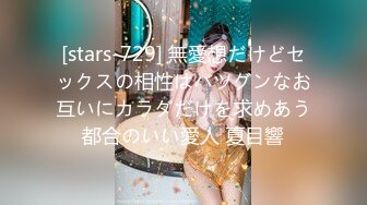 [stars-729] 無愛想だけどセックスの相性はバツグンなお互いにカラダだけを求めあう都合のいい愛人 夏目響