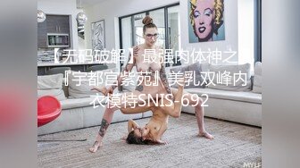 【无码破解】最强肉体神之乳 『宇都宫紫苑』美乳双峰内衣模特SNIS-692