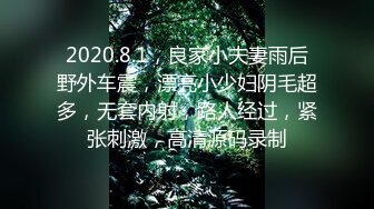 2020.8.1，良家小夫妻雨后野外车震，漂亮小少妇阴毛超多，无套内射，路人经过，紧张刺激，高清源码录制