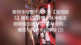 推特字母圈牛逼大神【溜肉段S】最新VIP付费，脉冲电击捆绑炮击各种花样SM母狗，痛苦与兴奋来回穿梭 (3)