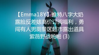 【Emma18Y】推特八字大奶露脸反差婊高价订阅福利，勇闯有人男厕景区超市露出道具紫薇野战啪啪 (3)