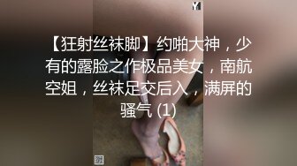 【狂射丝袜脚】约啪大神，少有的露脸之作极品美女，南航空姐，丝袜足交后入，满屏的骚气 (1)