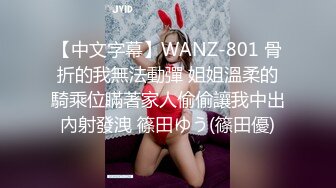 【中文字幕】WANZ-801 骨折的我無法動彈 姐姐溫柔的騎乘位瞞著家人偷偷讓我中出內射發洩 篠田ゆう(篠田優)