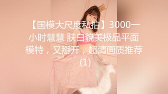 【国模大尺度私拍】3000一小时慧慧 肤白貌美极品平面模特，又掰开，超清画质推荐 (1)