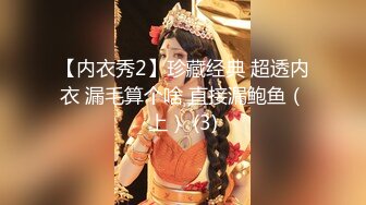 【内衣秀2】珍藏经典 超透内衣 漏毛算个啥 直接漏鲍鱼（上） (3)