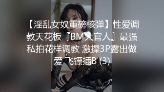 【淫乱女奴重磅核弹】性爱调教天花板『BM大官人』最强私拍花样调教 激操3P露出做爱 飞镖插B (3)