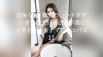 [blk-596] 都合のいいタダマン オヤジ大好き欲求不満ビッチと朝までナマでパコパコ11