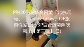 P站20万粉华裔网黄「北京瑶瑶」「Lonelymeow」OF旅游性爱日记 3P百合爆菊潮吹露出【第三弹】 (3)