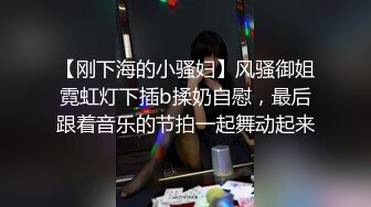 【刚下海的小骚妇】风骚御姐霓虹灯下插b揉奶自慰，最后跟着音乐的节拍一起舞动起来