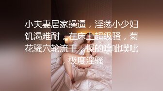 小夫妻居家操逼，淫荡小少妇饥渴难耐，在床上超级骚，菊花骚穴轮流干，操的噗呲噗呲，极度淫骚