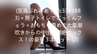 (至高ぷれみあ！)(fc3363883)＋男子トイレでごっくんフェラ＋おもちゃ責めで大量潮吹きからの中出し悶絶セックス！の豪華３本セット (2)