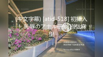 (中文字幕) [atid-518] 初挿入！ 恥辱のアナル研修 岩弘麻里