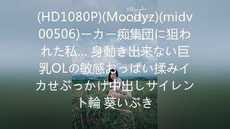 (HD1080P)(Moodyz)(midv00506)ーカー痴集団に狙われた私… 身動き出来ない巨乳OLの敏感おっぱい揉みイカせぶっかけ中出しサイレント輪 葵いぶき