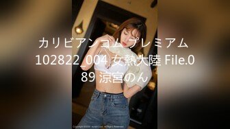 カリビアンコム プレミアム 102822_004 女熱大陸 File.089 涼宮のん