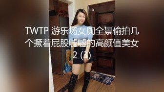 TWTP 游乐场女厕全景偷拍几个撅着屁股嘘嘘的高颜值美女2 (3)