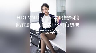 HD) VNDS-3328 飛機杯的熟女到府銷售員DX5[有碼高清中文字幕]