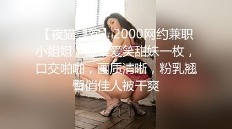 【夜猫寻欢】2000网约兼职小姐姐，温柔爱笑甜妹一枚，口交啪啪，画质清晰，粉乳翘臀俏佳人被干爽