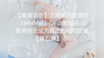 【唯美猎奇】上海第四爱情侣「MeiMei」OF调教私拍 训练男朋友成为真正的母狗奴隶【第五弹】 (3)