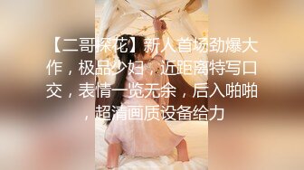 【二哥探花】新人首场劲爆大作，极品少妇，近距离特写口交，表情一览无余，后入啪啪，超清画质设备给力