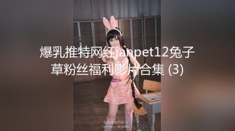 爆乳推特网红janpet12兔子草粉丝福利影片合集 (3)