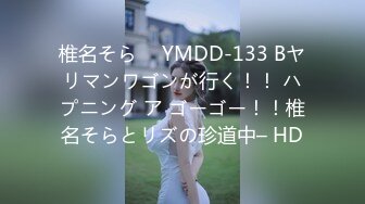 椎名そら ⨯ YMDD-133 Bヤリマンワゴンが行く！！ ハプニング ア ゴーゴー！！椎名そらとリズの珍道中– HD