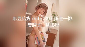 麻豆传媒 md-0303 孤注一掷-夏晴子、姚彤彤