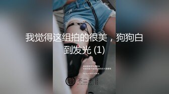 我觉得这组拍的很美，狗狗白到发光 (1)