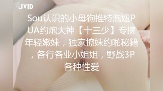 Sou认识的小母狗推特泡妞PUA约炮大神【十三少】专搞年轻嫩妹，独家撩妹约啪秘籍，各行各业小姐姐，野战3P各种性爱