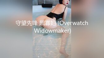 守望先锋 黑寡妇 (Overwatch Widowmaker)