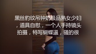 黑丝豹纹吊钟奶极品熟女少妇，道具自慰，一个人手持镜头拍摄，特写蝴蝶逼，骚的很