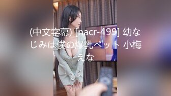 (中文字幕) [nacr-499] 幼なじみは僕の爆乳ペット 小梅えな