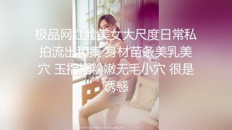 极品网红脸美女大尺度日常私拍流出和集 身材苗条美乳美穴 玉指插粉嫩无毛小穴 很是诱惑