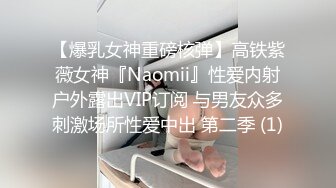 【爆乳女神重磅核弹】高铁紫薇女神『Naomii』性爱内射户外露出VIP订阅 与男友众多刺激场所性爱中出 第二季 (1)